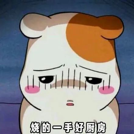 跟着烹饪教程做饭的我果然把厨房炸掉了呢