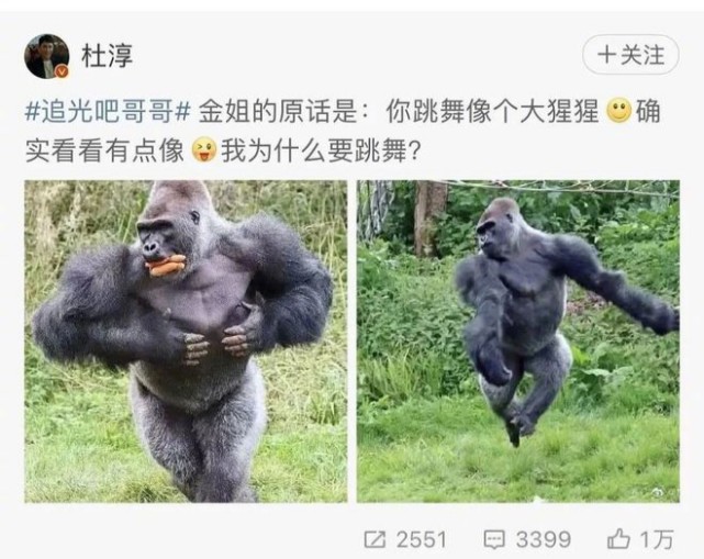 金星点评杜淳的舞蹈像大猩猩,郑爽觉得靠跳舞,杜淳混不下去了