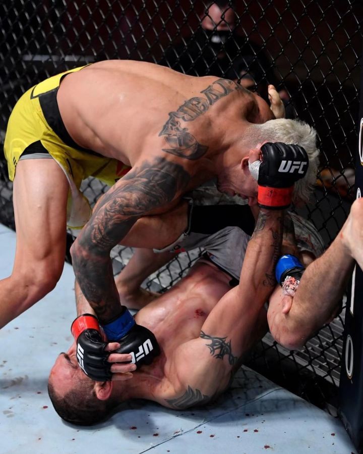 爷青结,夜魔又输了!哈比布的预言完全成真!_腾讯新闻