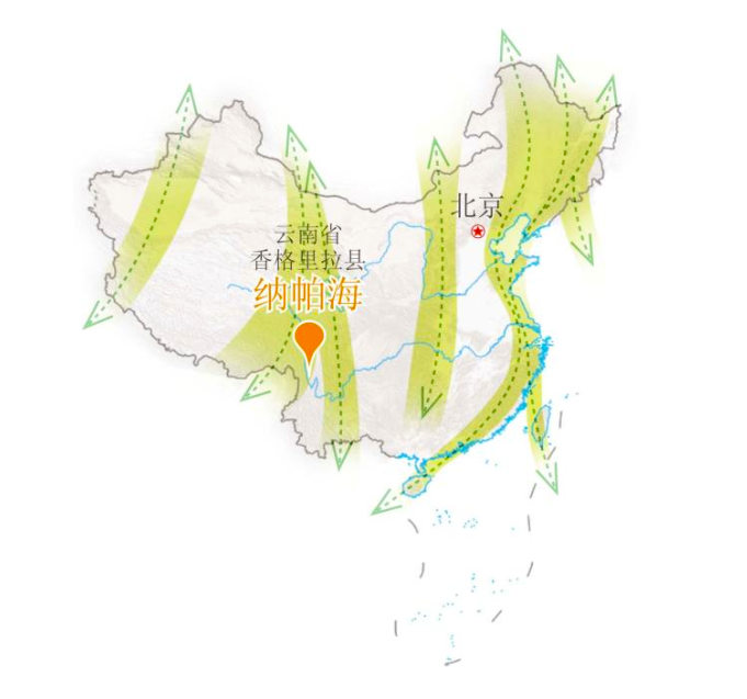 中国丹顶鹤迁徙路线图图片