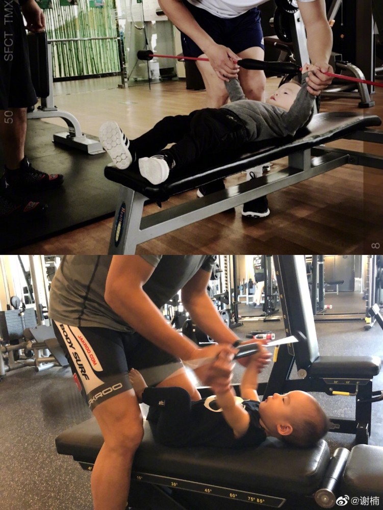 谢楠晒6岁儿子手臂线条