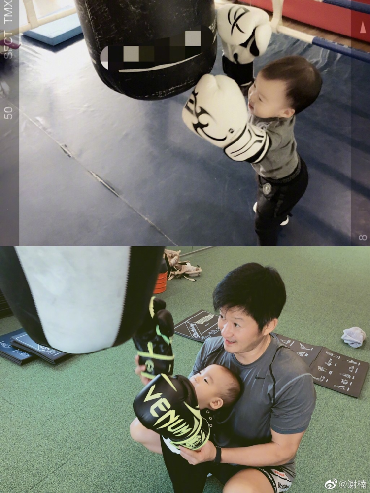 谢楠晒6岁儿子手臂线条