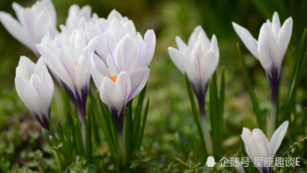 12月14日星座运势 双子积极主动 天蝎迎接挑战 摩羯冰释前嫌 腾讯新闻