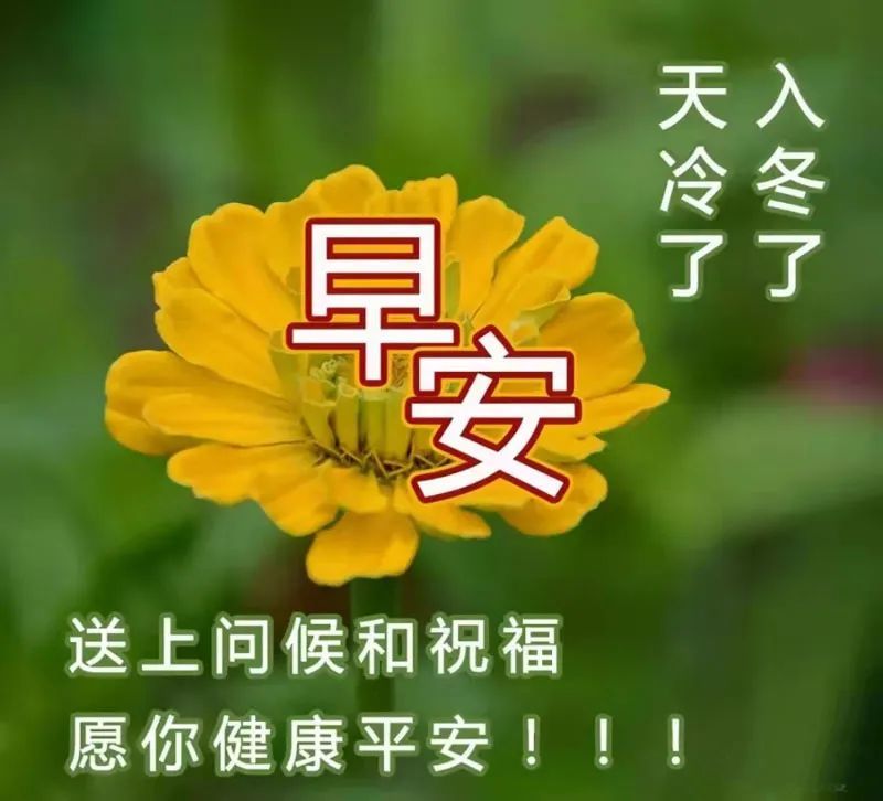 最新冬日非常漂亮可爱的早上好问候语动态表情图片冬天早上好语录带字