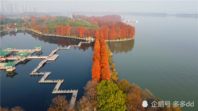 東湖風景區聽濤景區有東湖大門和梨園大門,其中東湖大門是最老的大門