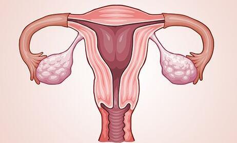 单角子宫适合做试管婴儿吗?