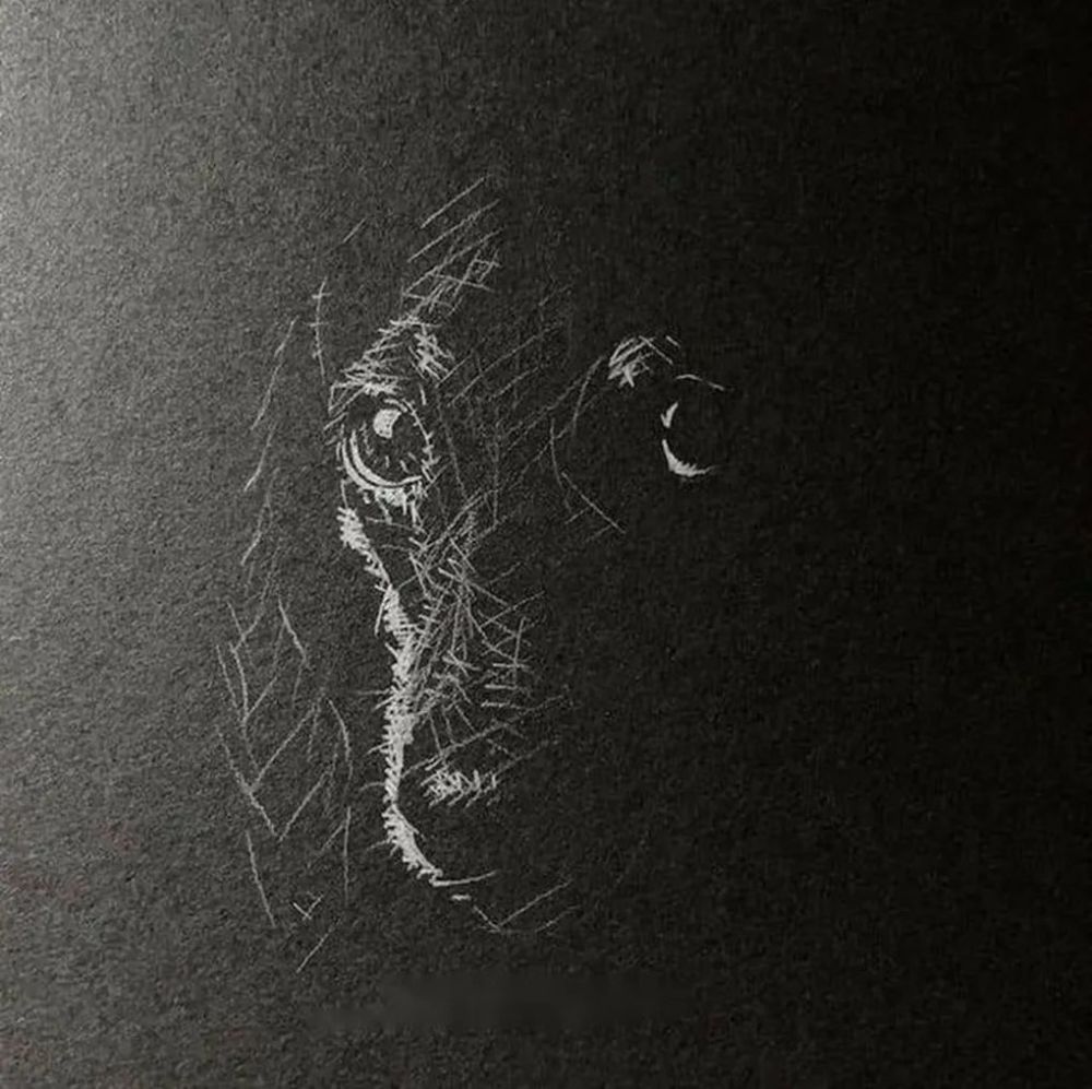 用白色铅笔在黑纸上画画,李羿慧寥寥几笔,却让人感到妙趣横生_腾讯