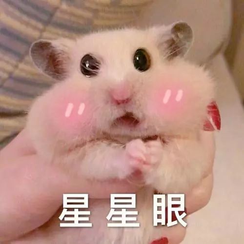 浙商證券研究所所長邱冠華都轉行看AI啦！網友稱見頂信號？英語能力評價