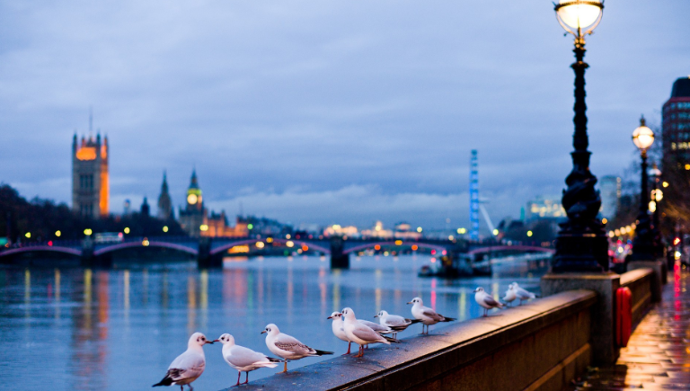 2020广东学考排名查_重要通知!广东2019年12月、2020年1月学考成绩复查时间