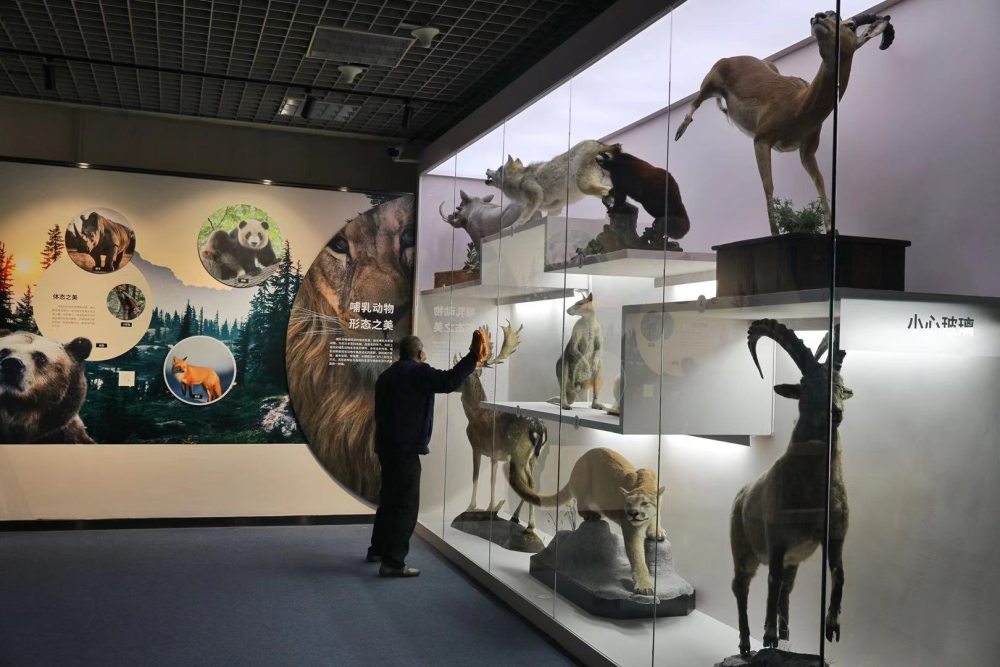 自然博物馆精选399件标本亮相展厅