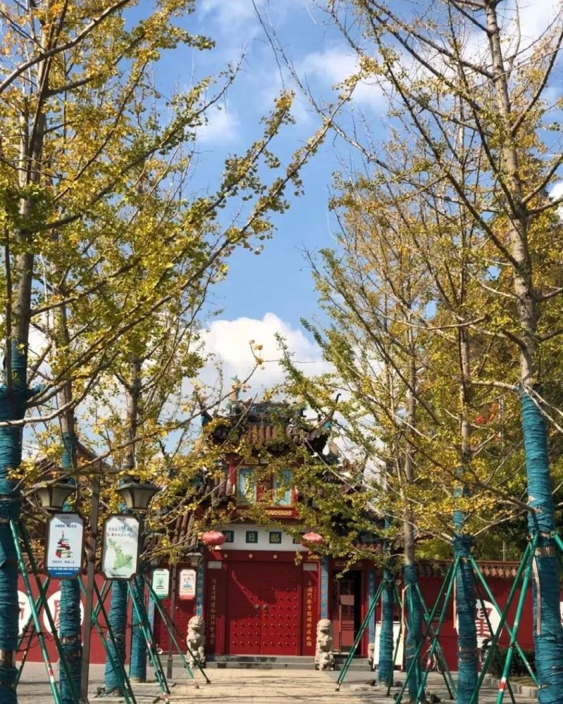 金山东林寺 真如寺