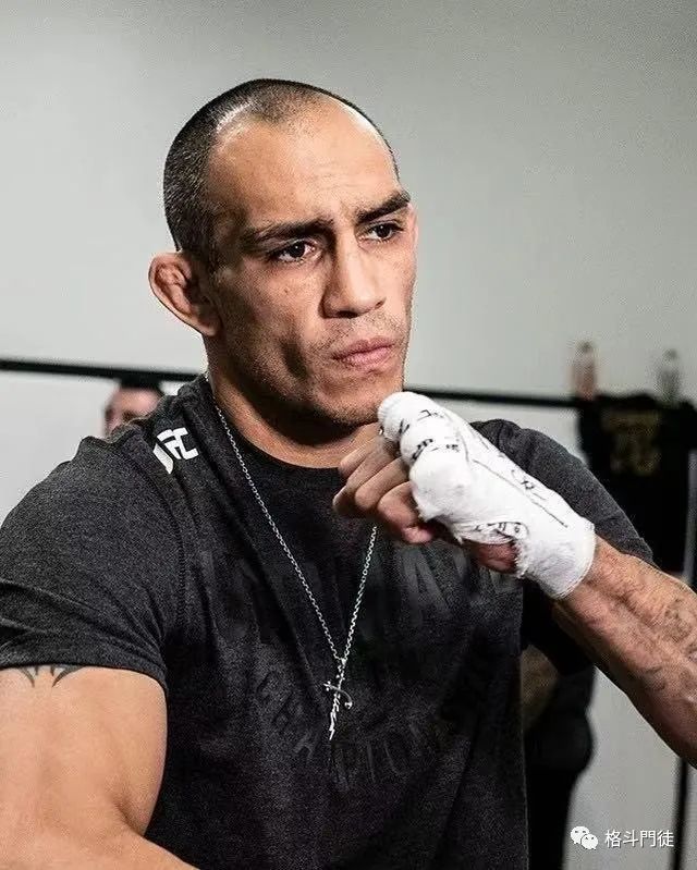 "小菊"多斯-桑托斯,"鳄鱼"索萨,"夜魔"托尼-弗格森,一个个响当当的