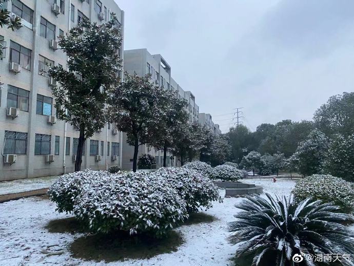 长沙多地降下纯雪,地上白茫茫一片