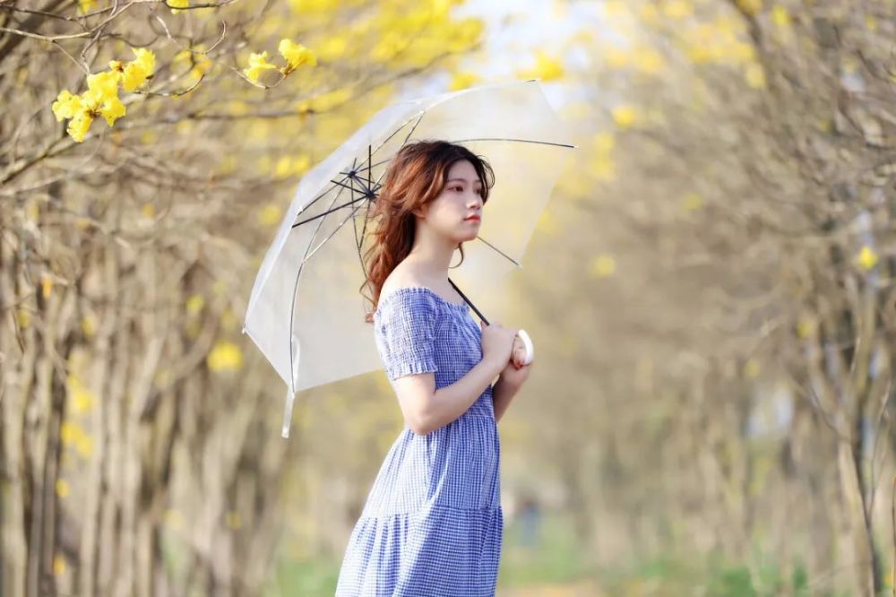 林中拍照3大忌 正反示例有对比 送给喜欢摄影的叔叔和阿姨 腾讯新闻