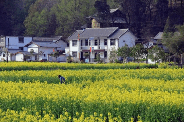 甘肃陇南惠阳图片