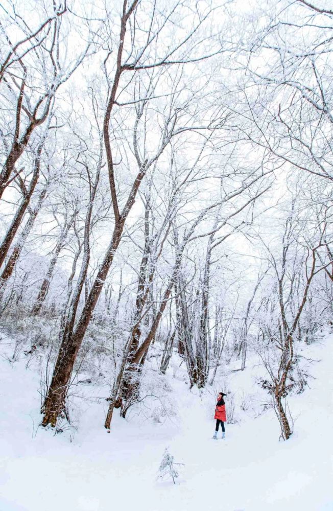 秦嶺雪鄉,十里風雪天涯路