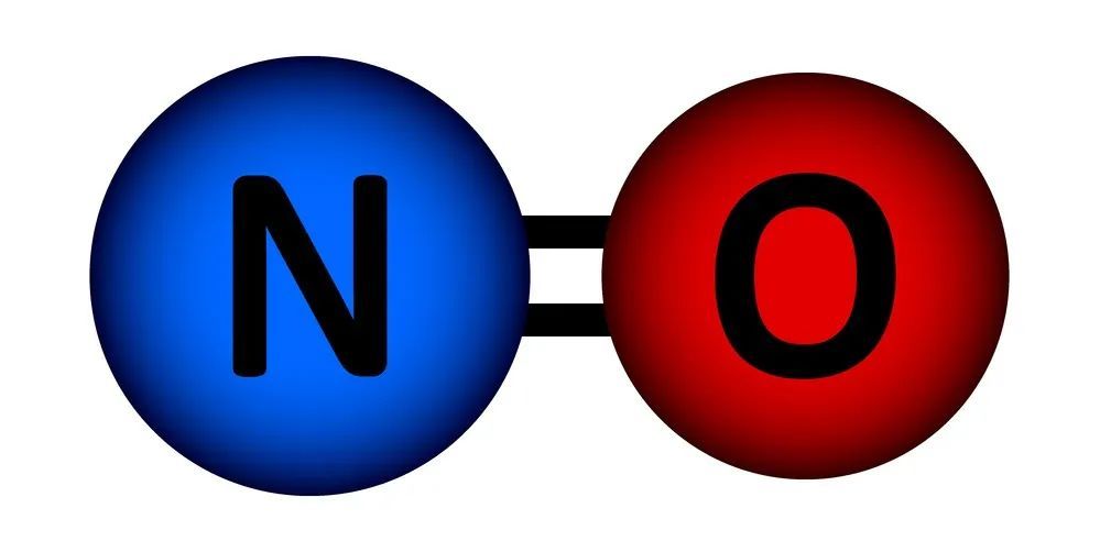 一氧化氮结构图片