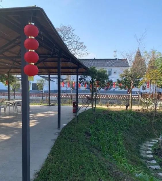 圩港村攜手常熟市耀星玻纖有限公司,打造最美江南紅豆園.