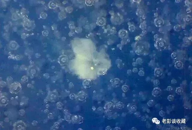 高倍镜下的"气泡"与"雪花":古瓷微观形态学典型特征赏析!_腾讯新闻