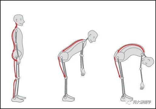 腰椎|灵素馆干货分享，如何准确定位腰椎？