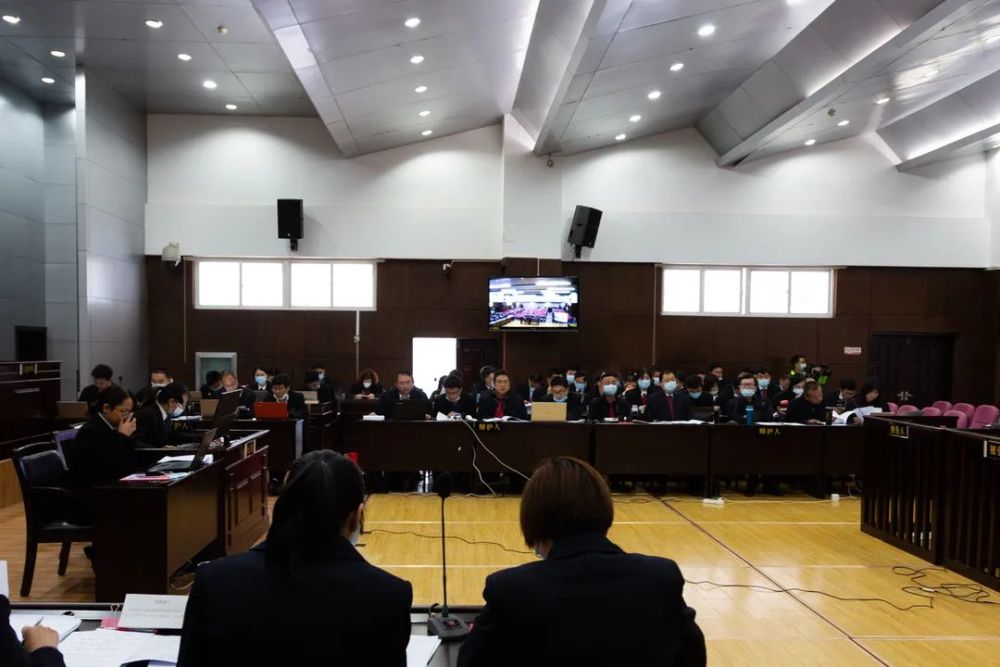 楚雄市人民法院公开开庭审理被告人速某林马某等44人涉黑案