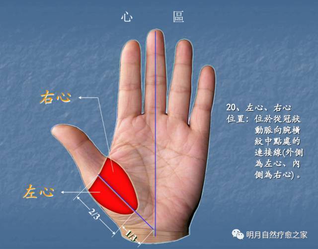 一看就懂的手诊