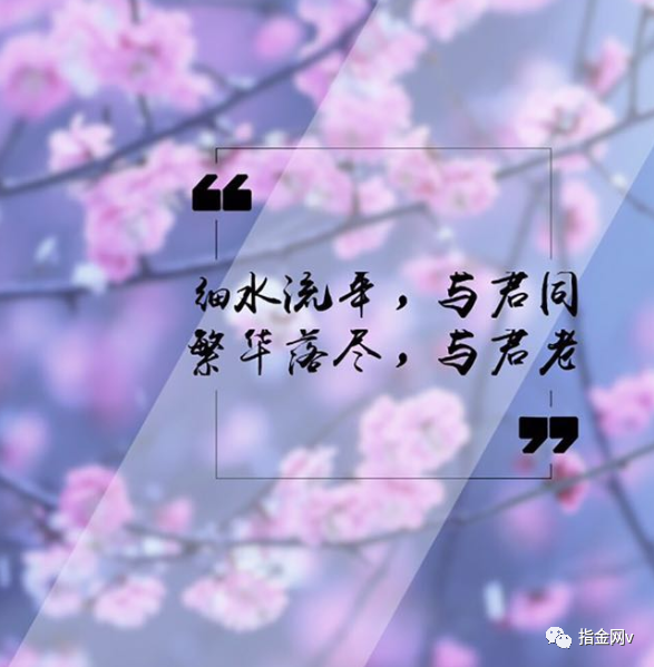 人世间有百媚千红唯独你是我情之所钟