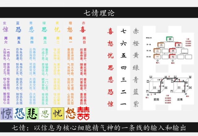 人体的七情输入与输出的器官