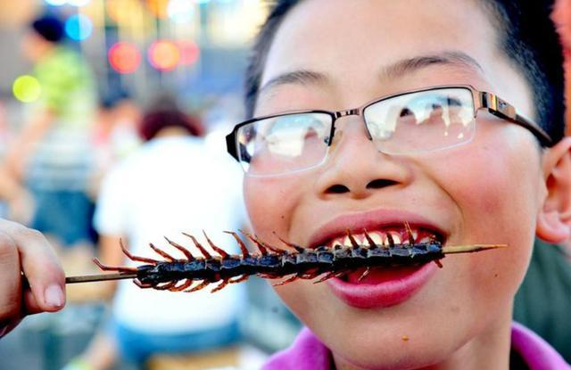 吴宗宪女儿录节目吃蟑螂大胆咬掉一半直接吸白色液体