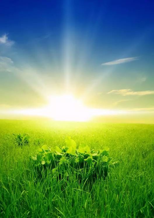 将自己活成一束光