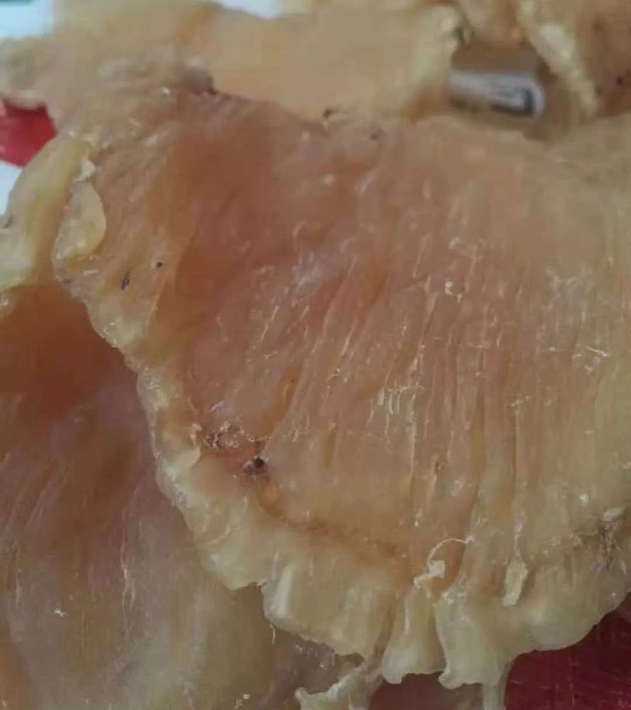 教你如何分辨鱼胶好坏 腾讯新闻