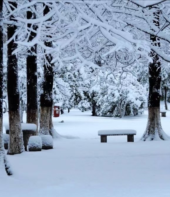 雪中即景外一首