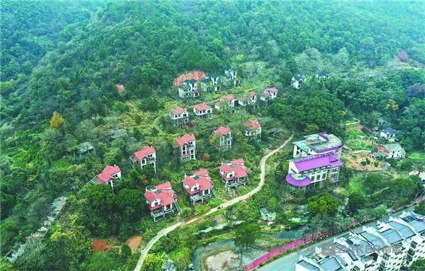 何去何从?南昌梅岭别墅群"烂尾"十余年