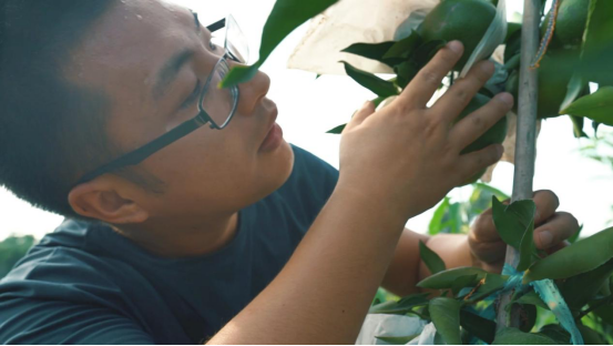 蜀你最能硕士农民刘沈厅像写论文一样种地