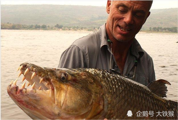 杰瑞米瓦德到中国钓"河中巨怪"开始时还嘲笑中国钓友,装备简陋