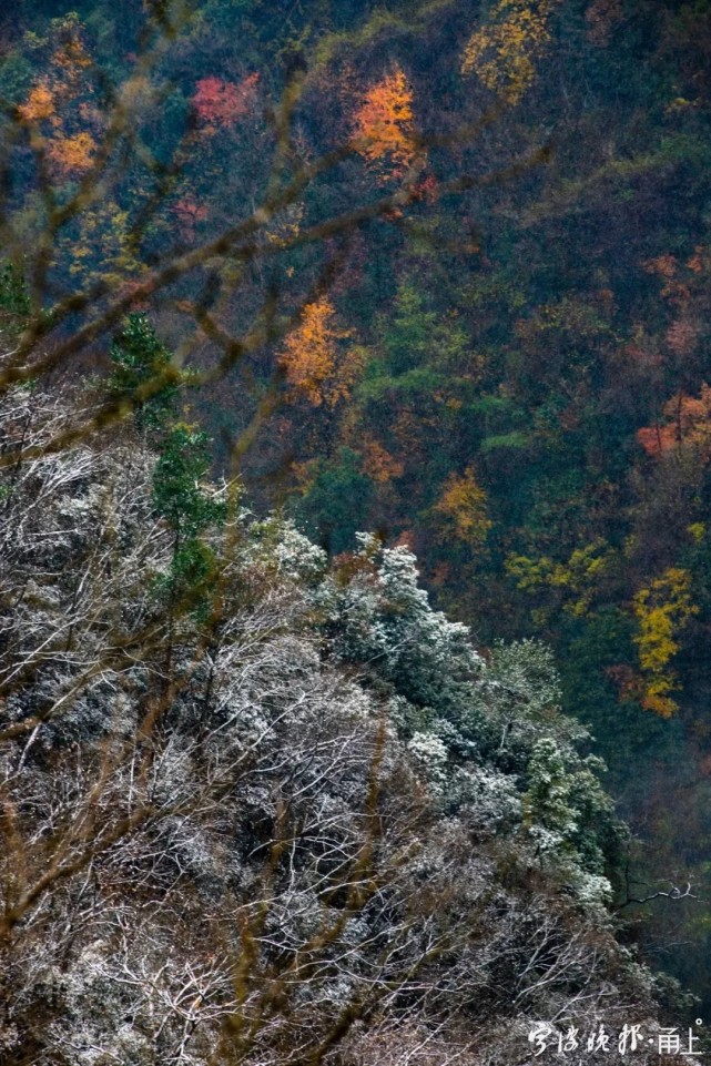 初雪來訪,寧波四明山這條公路迎來遊客打卡!現場美成這樣