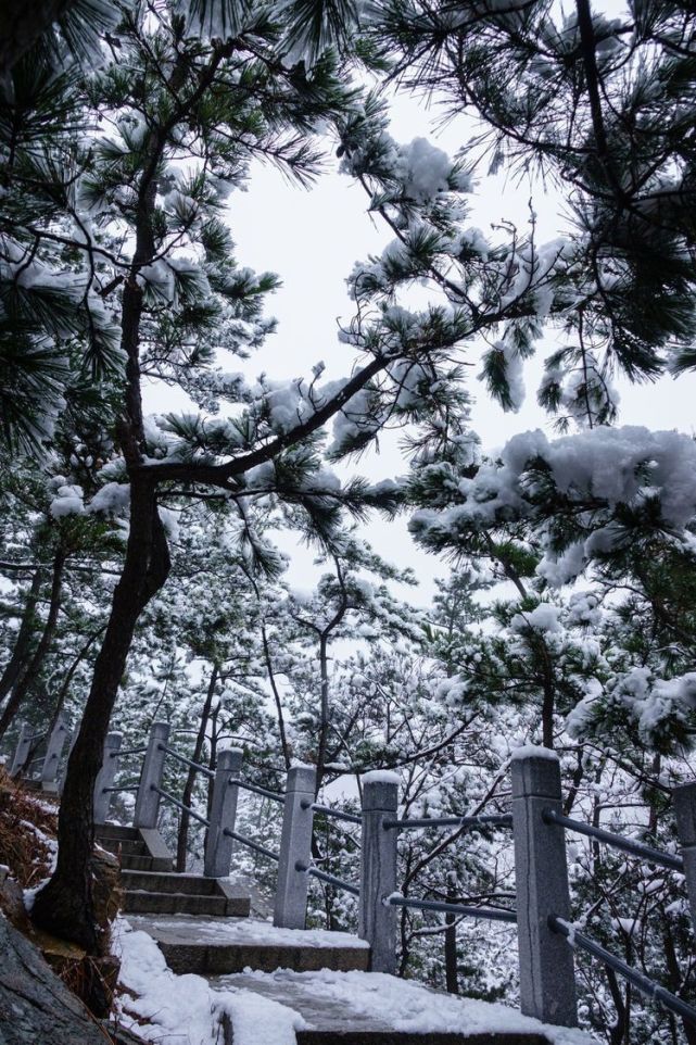 嶗山,是山東半島的主要山脈,嶗山的最高峰名為巨峰,又稱嶗頂,海拔