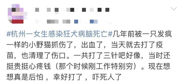 女生感染狂犬病腦死亡網友我被貓舔了下手需要打疫苗嗎快來看看此類