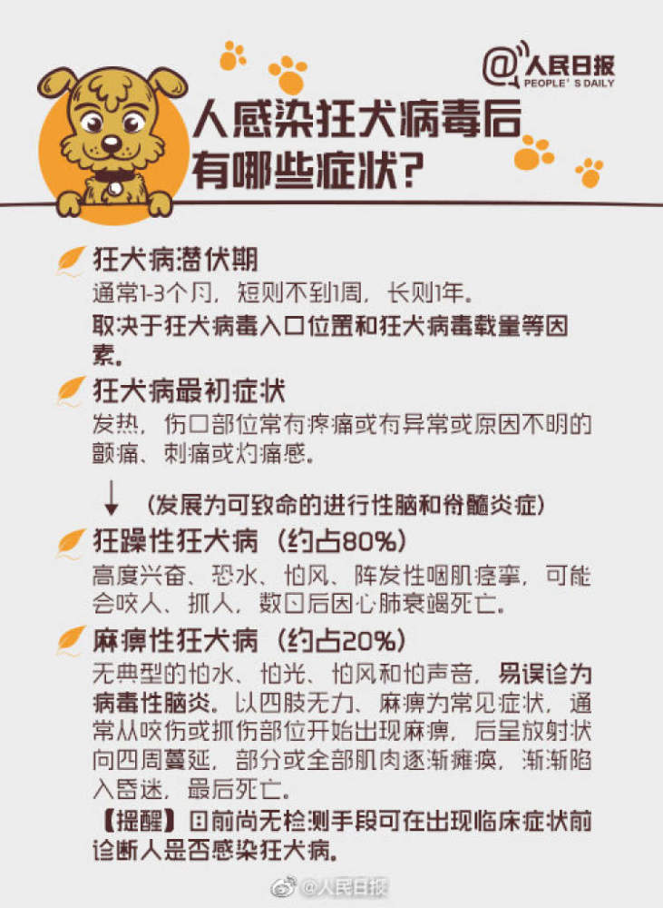 这一事件令狂犬病再次成为网友关注焦点 人感染狂犬病毒后有哪些