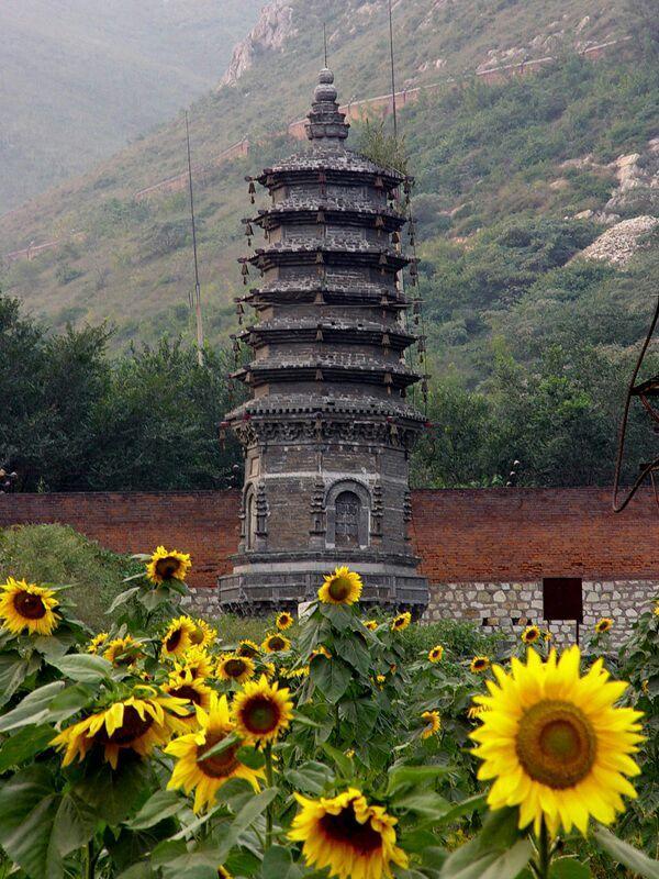 唐山古冶"多宝佛塔":古冶最古老的建筑,经历唐山大地震而不倒_腾讯