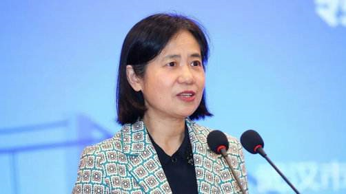 武汉女副市长任上被查,疫情期间曾回应社区"阴阳套餐"