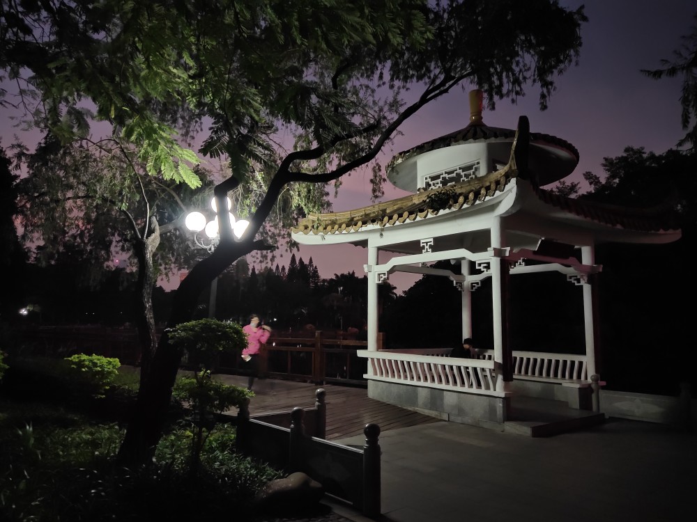美丽而安静的福田荔枝公园夜景._腾讯新闻