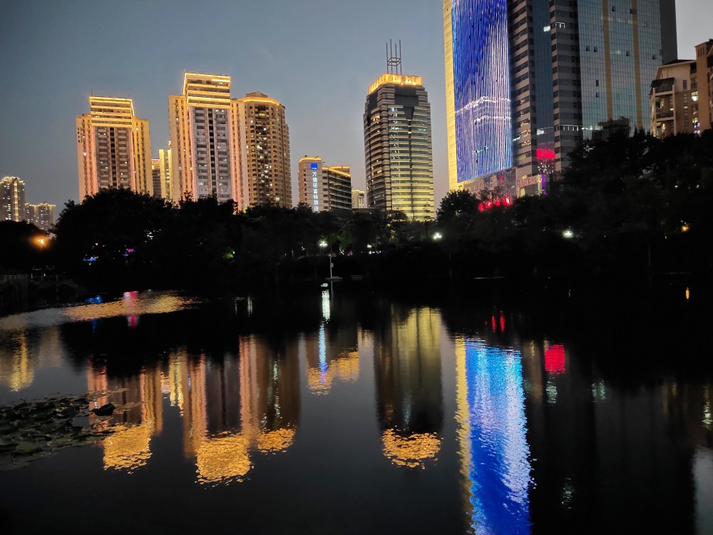 美丽而安静的福田荔枝公园夜景