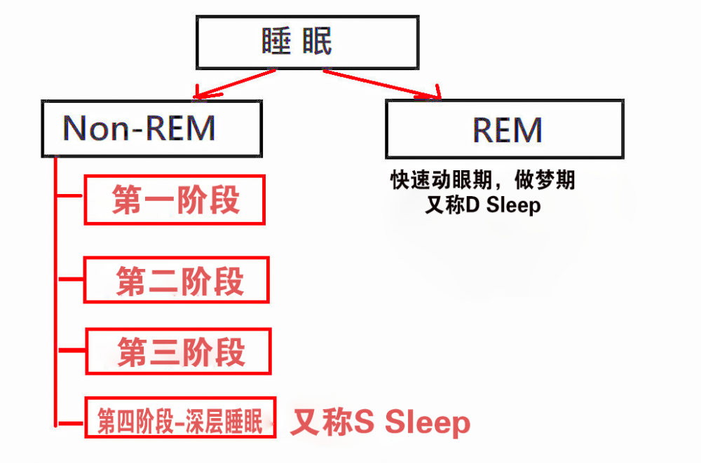 睡眠分成这些阶段 分别是nonrem(非快速动眼期,和rem快速动眼期.