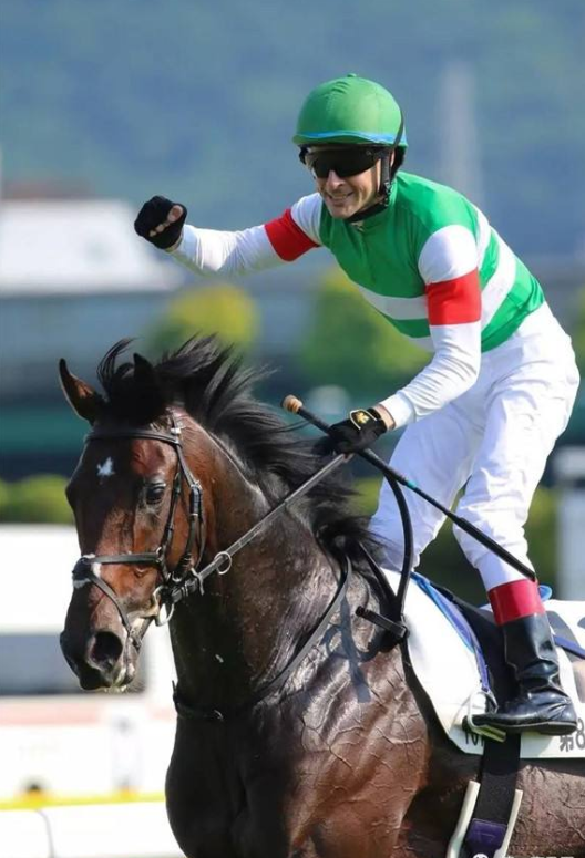 绝世好工骑师年薪26亿莫雅香港国际赛日收入247万