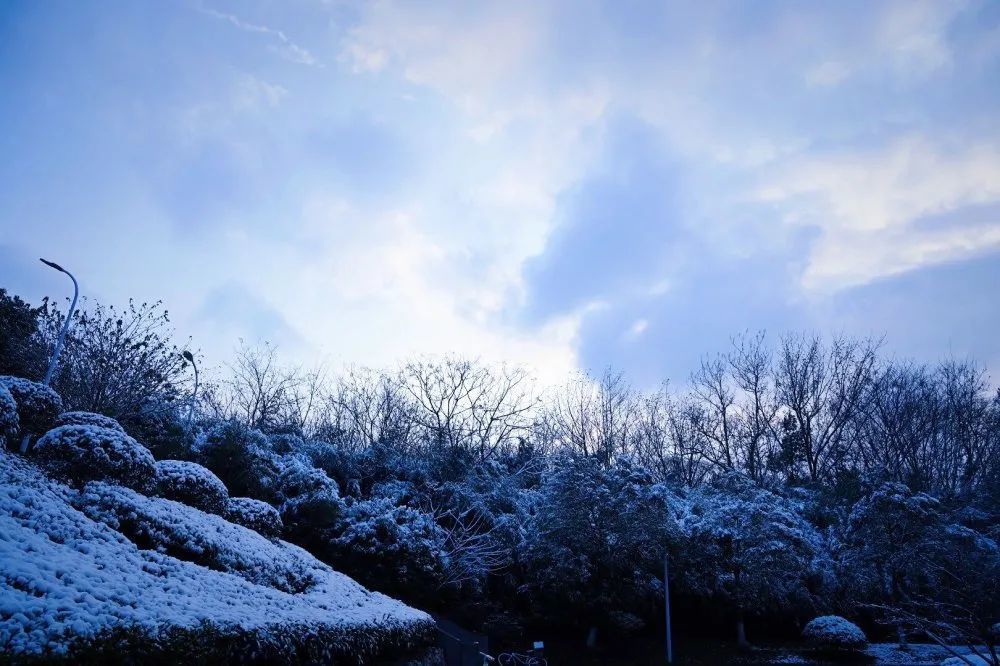 师大初雪|雪飘如絮,敬颂冬绥