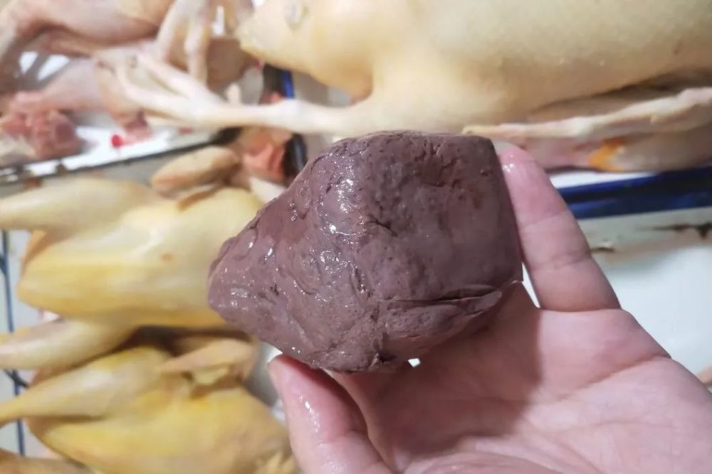 真假鸭血你能分得清么