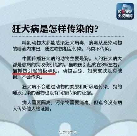 女孩感染狂犬病,罵了一天反轉了?