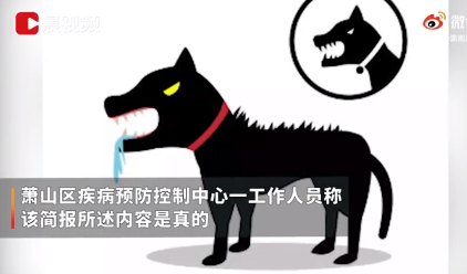 女孩感染狂犬病罵了一天反轉了