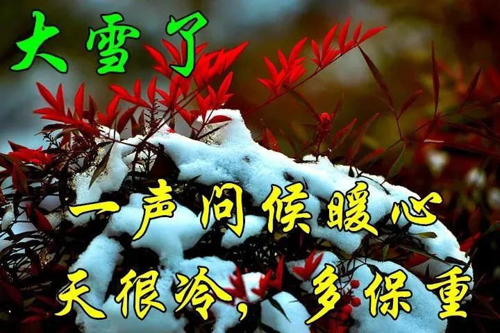 下雪天最新漂亮早上好问候动态图带字12月大雪节气最美早安问候祝福语